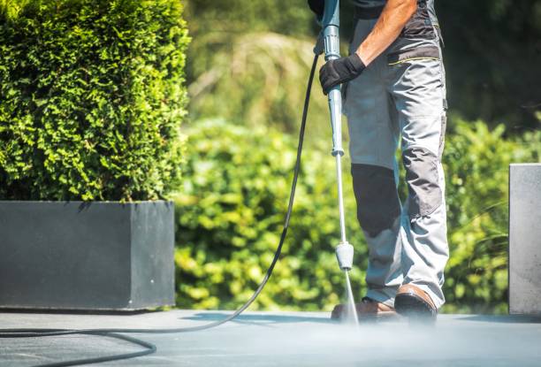Best Fence Cleaning  in The Hills, NJ