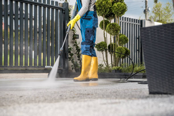 Best Driveway Pressure Washing  in The Hills, NJ